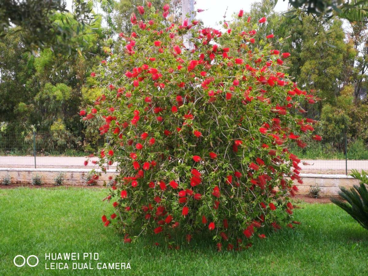 B&B Fiori Di Pesco Fertilia Ngoại thất bức ảnh